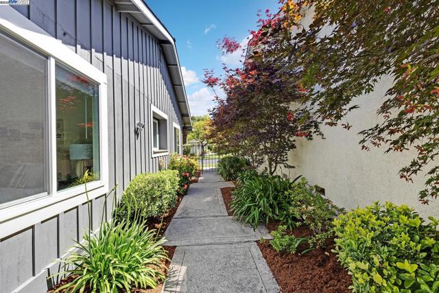 551 Cambrian Way, Danville CA: https://media.crmls.org/mediaz/7a4b5ef4-be23-4697-b242-870253155d7a.jpg