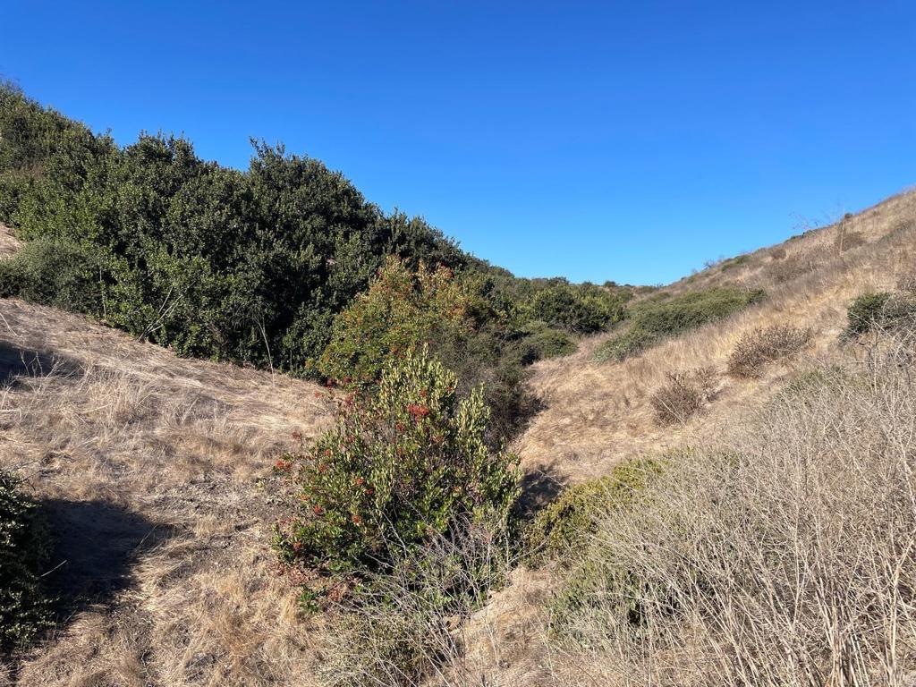 MLS #PTP2407091 image #17