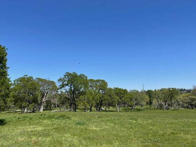 0 Cardwell Avenue, Orangevale CA: https://media.crmls.org/mediaz/7a60b2c1-b3c8-4421-a204-d5daa7afc4bf.jpg