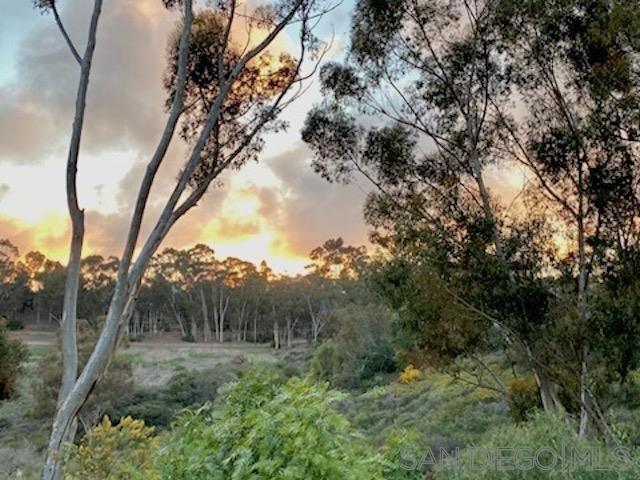 2835 Hillsboro Ct, Carlsbad CA: https://media.crmls.org/mediaz/7a64ab34-ef7e-46ba-ba30-1d527f16005f.jpg