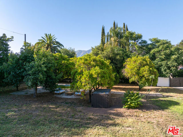 205 S Lomita Avenue, Ojai CA: https://media.crmls.org/mediaz/7a664301-0dde-41f4-885d-4b2c909a5b64.jpg