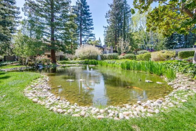 19816 Vineyard Lane, Saratoga CA: https://media.crmls.org/mediaz/7a68d6dc-5dd2-4795-bb44-8c59f6bd6fd3.jpg