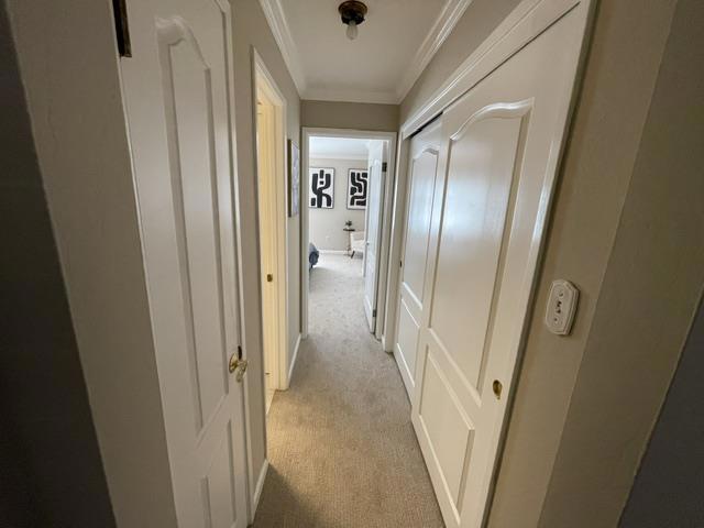 https://media.crmls.org/mediaz/7a6d53ce-7c2e-42b4-9a01-5b6ed261b314.jpg?preset=X-Large