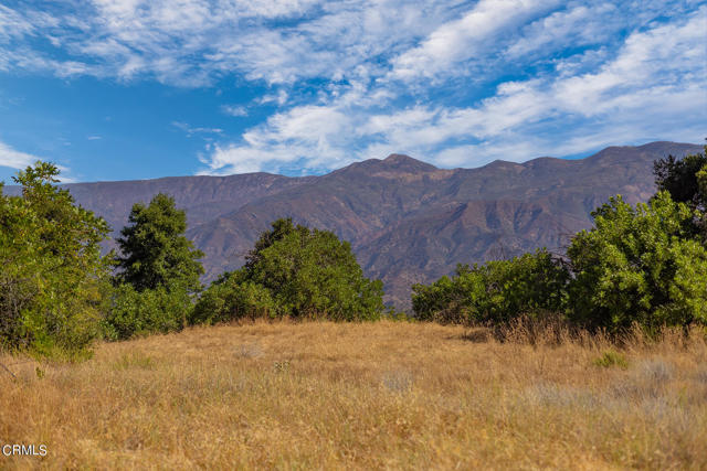 Detail Gallery Image 11 of 22 For 10331 Sulphur Mountain Rd, Ojai,  CA 93023 - – Beds | – Baths