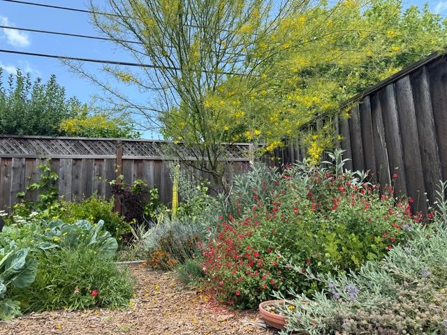 2155 Peachtree Lane, San Jose CA: https://media.crmls.org/mediaz/7a72f0d0-2f92-4b31-9e66-9de90c5d98d7.jpg