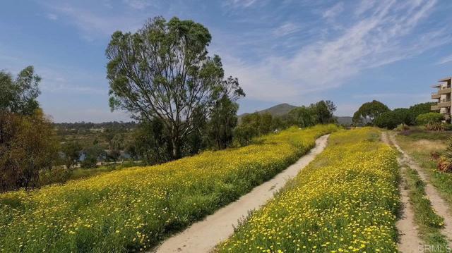 Detail Gallery Image 41 of 60 For 5704 Baltimore Dr #315,  La Mesa,  CA 91942 - 0 Beds | 1 Baths