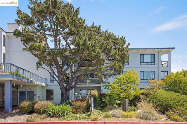 2 Commodore DR, Emeryville CA: https://media.crmls.org/mediaz/7a791c83-5670-4ba2-b7dd-c46767db0d69.jpg