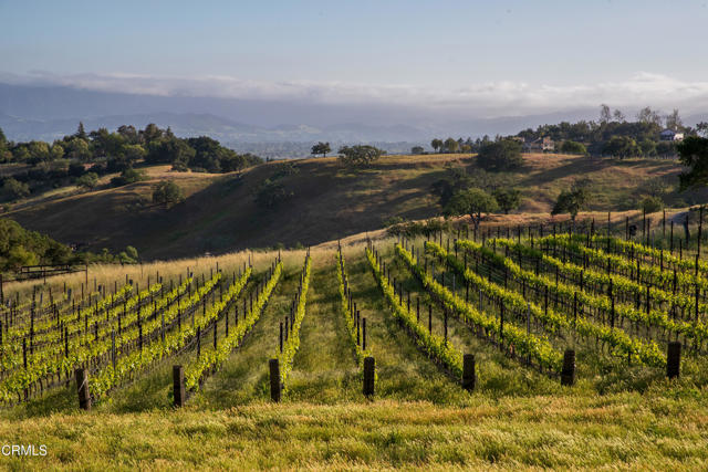 Detail Gallery Image 47 of 52 For 3001 Long Valley Rd, Santa Ynez,  CA 93460 - 6 Beds | 6/2 Baths