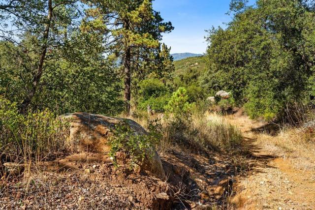 Detail Gallery Image 20 of 40 For 120 Ac Vacant Land Mesa Grande Rd, Santa Ysabel,  CA 92070 - – Beds | – Baths