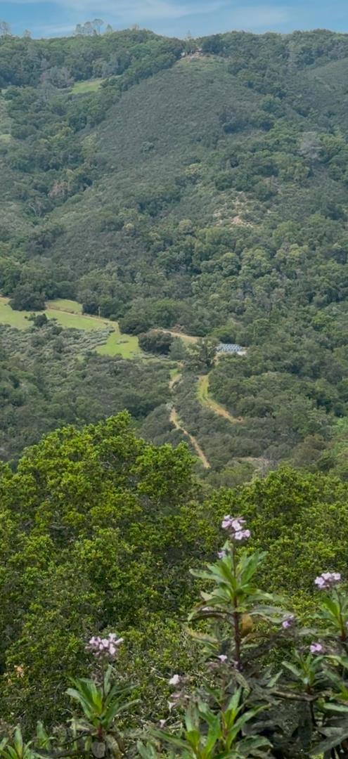 0 Uvas Road, Morgan Hill CA: https://media.crmls.org/mediaz/7a852ab3-3a86-4d34-90b2-385a96abb648.jpg