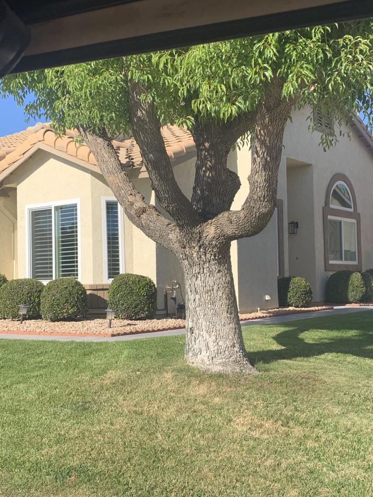 MLS #219139326DA image #3