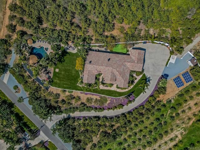 Image 61 of 63 For 25120 Las Palmeras