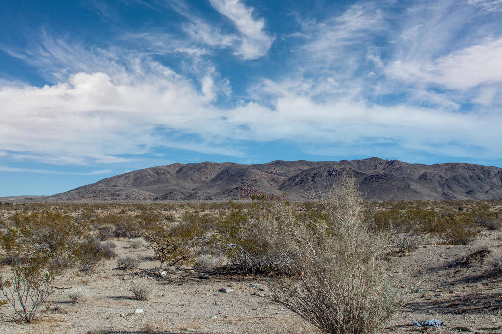 MLS #219131400PS image #6