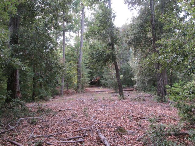 0 E Hilton, Boulder Creek CA: https://media.crmls.org/mediaz/7aab5a90-6b38-43f5-83f2-9e8d64e26693.jpg