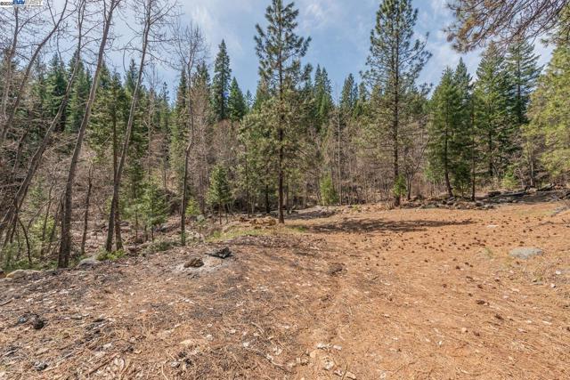 121 Mountain Aire Ln, Trinity Center CA: https://media.crmls.org/mediaz/7aae2c58-0577-4a59-a4b6-223aeebc074c.jpg