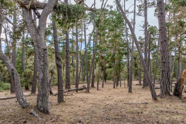 1070 Spyglass Woods Drive, Pebble Beach CA: https://media.crmls.org/mediaz/7ab3c538-31af-4d4f-b7f3-d6b2a9a6b0fd.jpg