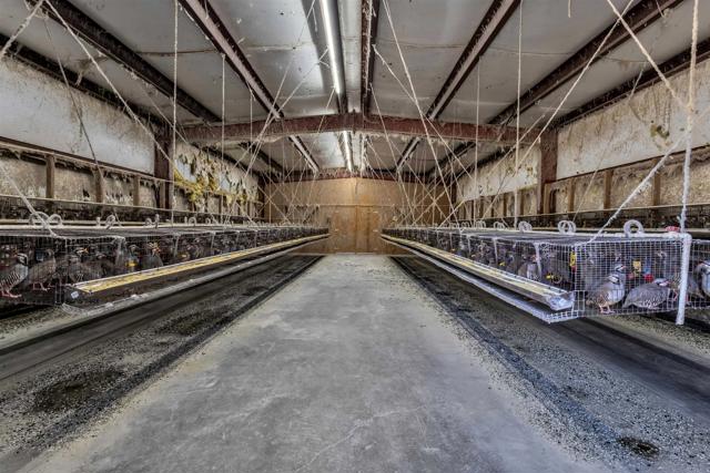 Detail Gallery Image 36 of 75 For 35683 Breezy Lane, Ranchita,  CA 92066 - 3 Beds | 2 Baths