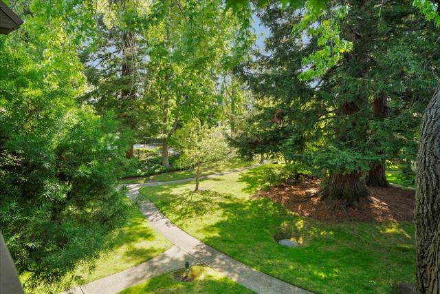 50 Horgan Avenue, Redwood City CA: https://media.crmls.org/mediaz/7ac4409d-3408-4d85-8b96-b5df810ef78e.jpg