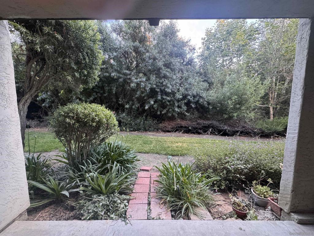 3507 Caminito Sierra - photo 18
