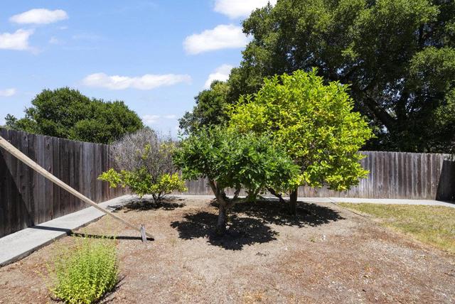 2440 Rosewood Drive, San Bruno CA: https://media.crmls.org/mediaz/7aca5bef-379b-468e-915a-e8bf9f39562b.jpg