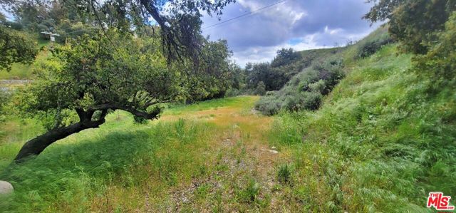 11402 Eby Canyon Road photo 8