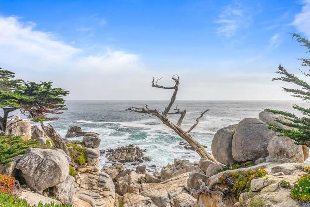 5 NE of 4th on Lopez, Carmel CA: https://media.crmls.org/mediaz/7adee436-d5dd-4ab5-8c9d-1c62f1df7702.jpg