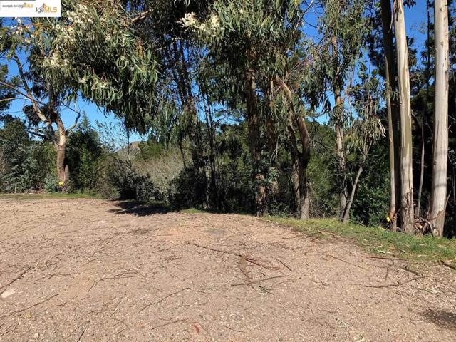 108 Diablo Drive, Orinda CA: https://media.crmls.org/mediaz/7ae59940-aed8-455b-9e14-a77d281e6ffb.jpg