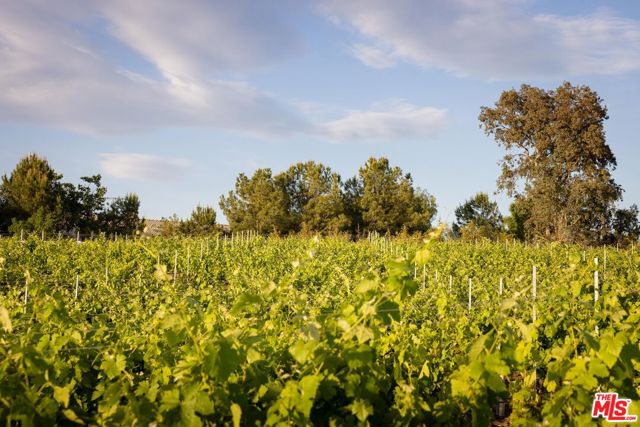 36453 Via El Pais Bonita, Temecula CA: https://media.crmls.org/mediaz/7aebe374-df98-45b8-a871-4f423480cf68.jpg