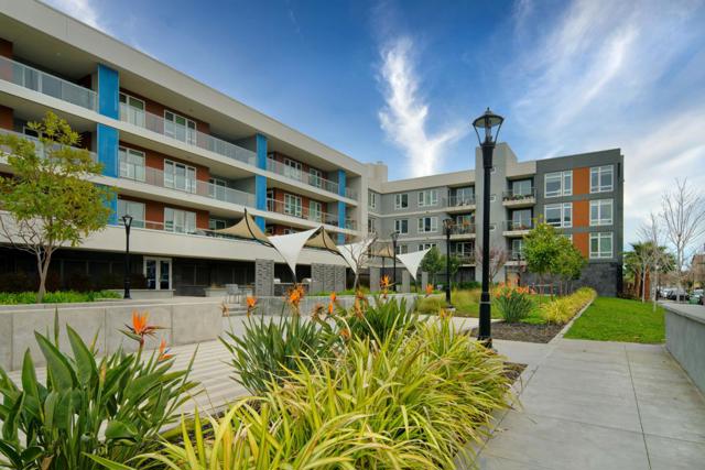 5925 Charlotte Drive, San Jose CA: https://media.crmls.org/mediaz/7af68dc9-6f84-4058-8fd0-1d38966ff158.jpg