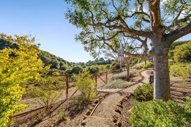 153 Castillo Court, Aptos CA: https://media.crmls.org/mediaz/7af90872-59f2-42a5-a9f9-021550dd5584.jpg