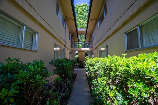 762 University Avenue, Palo Alto CA: https://media.crmls.org/mediaz/7b09cecc-5a35-4016-9711-757cfd1ceb17.jpg