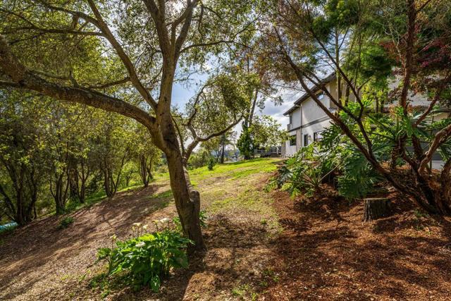 407 Quail Run, Aptos CA: https://media.crmls.org/mediaz/7b0b0db3-71a5-469f-b5ff-5d812af7cadc.jpg