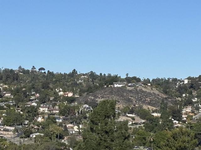 Detail Gallery Image 53 of 60 For 10050 Cristobal Dr, Spring Valley,  CA 91977 - 5 Beds | 2 Baths