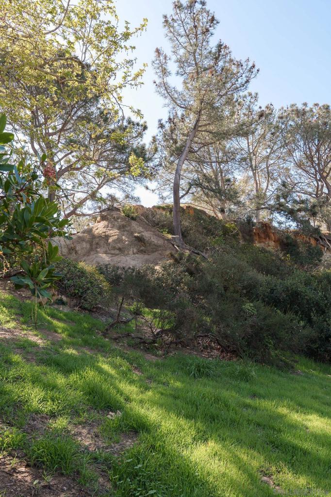 Hidden Pines Rd Del Mar - photo 16