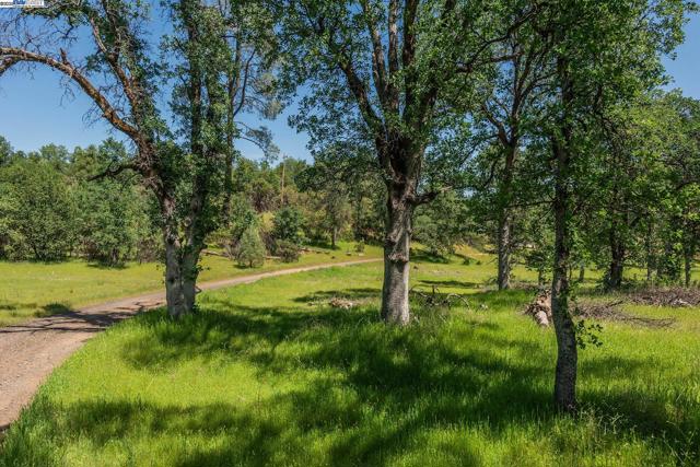 21679 Squaw Grass Trail, Redding CA: https://media.crmls.org/mediaz/7b218c53-92a4-47fd-99f0-c96f252a0ae6.jpg