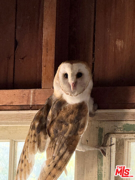 Image 29 of 33 For 1701 Hwy 246