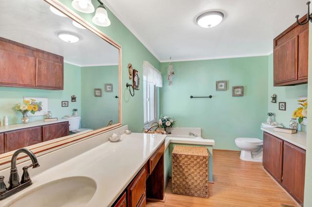 Detail Gallery Image 29 of 52 For 707 Lilac Ranch Rd, Alpine,  CA 91901 - 4 Beds | 2 Baths