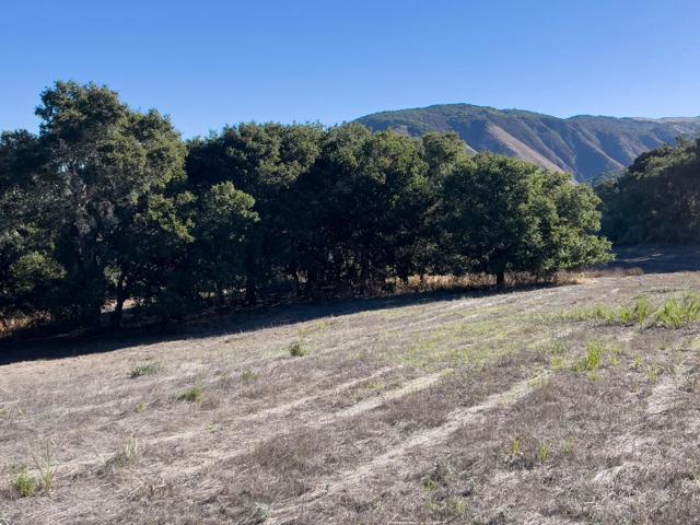 7 Holding Field Run, Carmel Valley CA: https://media.crmls.org/mediaz/7b312990-16fa-41fc-88e1-67701b7ebc97.jpg