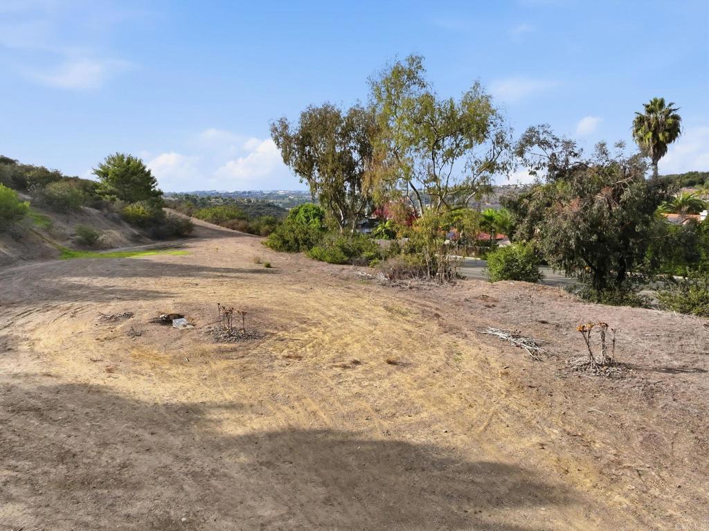 6515 El Fuerte Street - photo 18