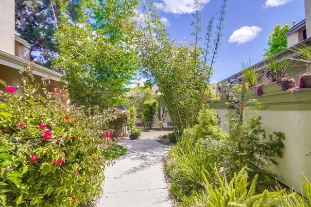 3319 Caminito Eastbluff, La Jolla CA: https://media.crmls.org/mediaz/7b32df77-8d53-43f4-a27c-c350d75473af.jpg