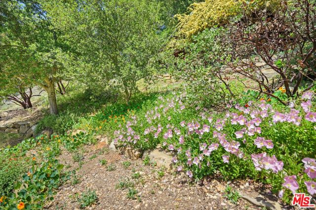 20730 Hillside Drive, Topanga CA: https://media.crmls.org/mediaz/7b3bb528-1a2b-447f-9e70-921120df5abf.jpg