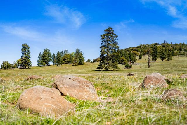 3510 Deer Lake Park Road, Julian CA: https://media.crmls.org/mediaz/7b40583f-2754-482d-a33f-f72354448c02.jpg