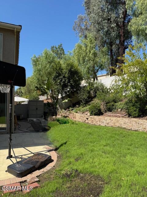 back side yard