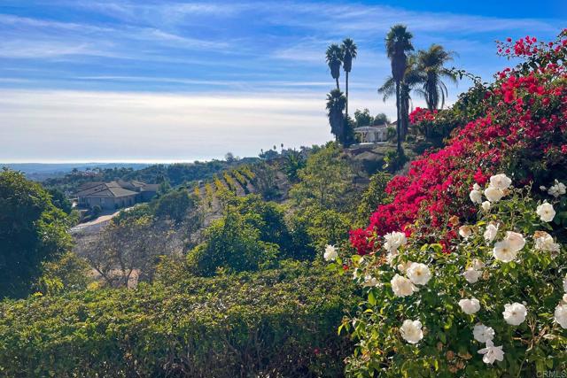 Detail Gallery Image 42 of 72 For 2644 Dos Lomas, Fallbrook,  CA 92028 - 4 Beds | 5/1 Baths