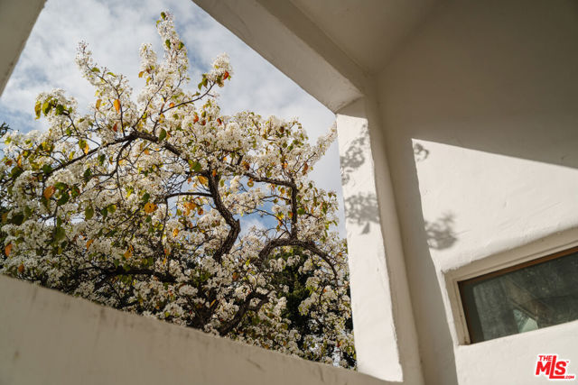 2002 Tuna Canyon Road, Topanga CA: https://media.crmls.org/mediaz/7b455fef-9d8d-4ab4-a6d3-0473e0b8ae64.jpg