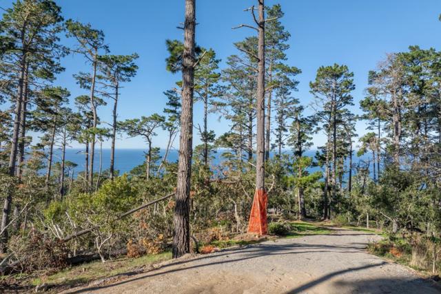 90 Crest Road, Carmel CA: https://media.crmls.org/mediaz/7b45cfb4-2be3-453d-a4fb-ec73480142b7.jpg