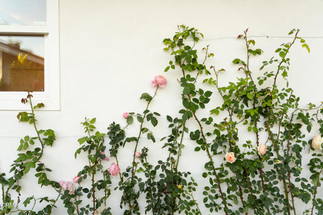 202 N. Fulton Street, Ojai CA: https://media.crmls.org/mediaz/7b4ac234-0c1f-45d9-a368-5089e825ee6d.jpg