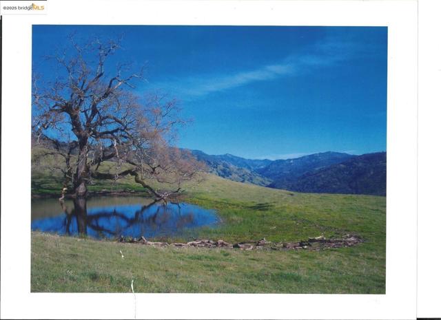 39305 Pine Mountain RD, Cloverdale CA: https://media.crmls.org/mediaz/7b54b3db-5956-424f-849d-811fdeeda654.jpg