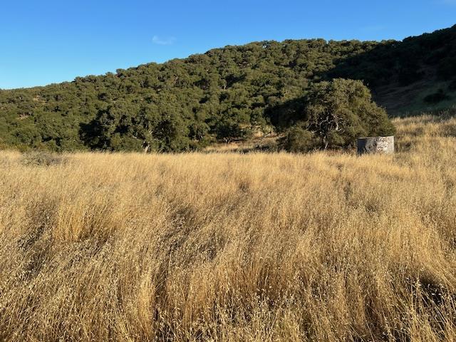 0 Pine Canyon Road, King City CA: https://media.crmls.org/mediaz/7b60578c-1f21-43c2-8907-9eb9a3c9cc69.jpg