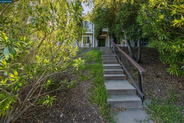 320 Miranda Ln, Alamo CA: https://media.crmls.org/mediaz/7b74ed70-2b4b-47d7-a242-0d9e6d310e42.jpg